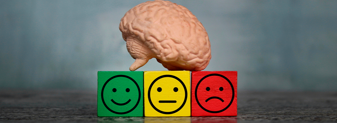 DIPLOMATURA EN INTELIGENCIA EMOCIONAL